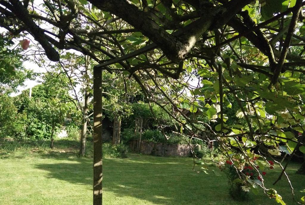 Gentil'Home - Toulouse B&B Prestige Fenouillet (Haute-Garonne) Exterior foto